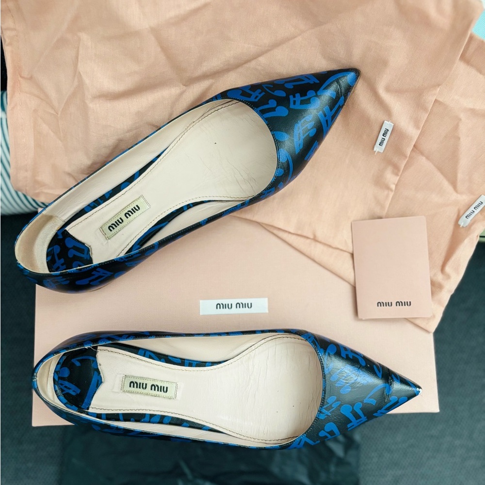 Miu Miu Black and Blue Flats